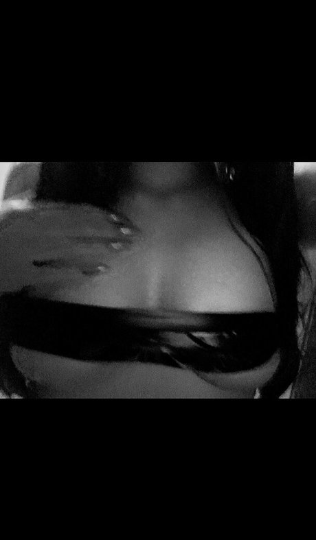 xo paris beautiful star images