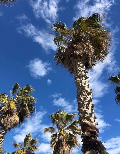 audiop rn perfect pornstar galleries