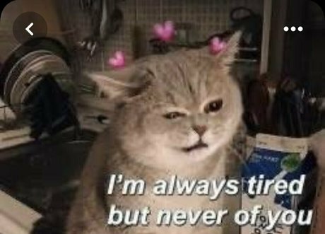 lesbian anal strapon onlyfans erotic images