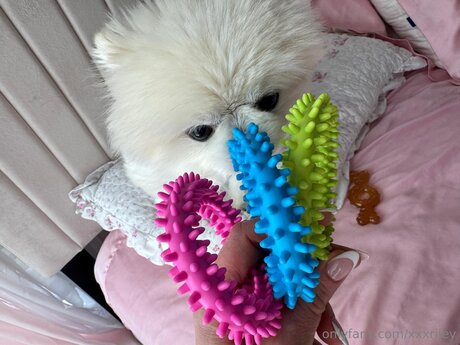 xxxriley Profile photo