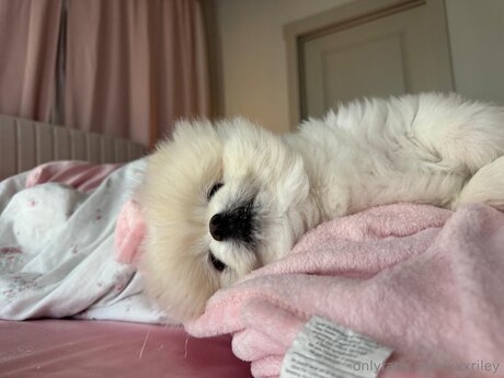 xxxriley star perfect photos