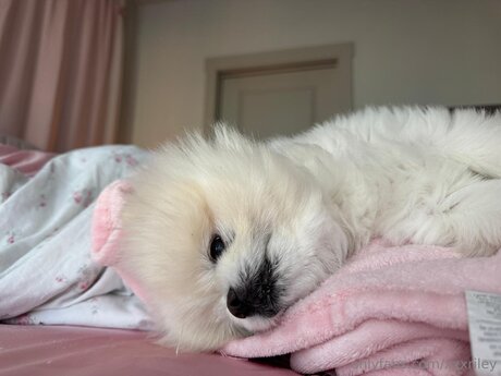 xxxriley high quality actress galleries