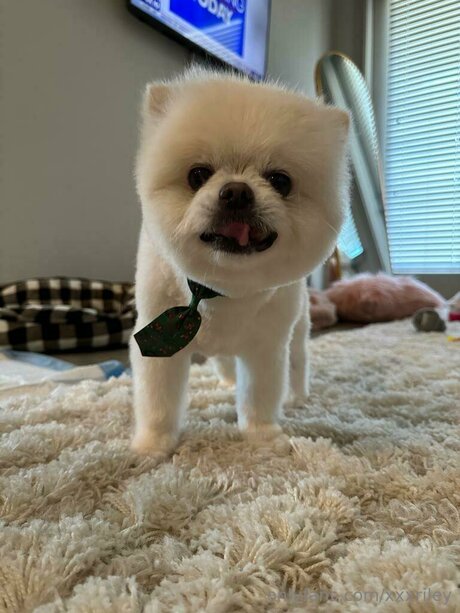 xxxriley star nude archive