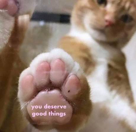 hungry4moore model best photo