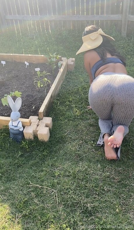 corneliusthecat nudes model image