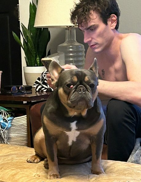 marstonhefner pornstar best picture