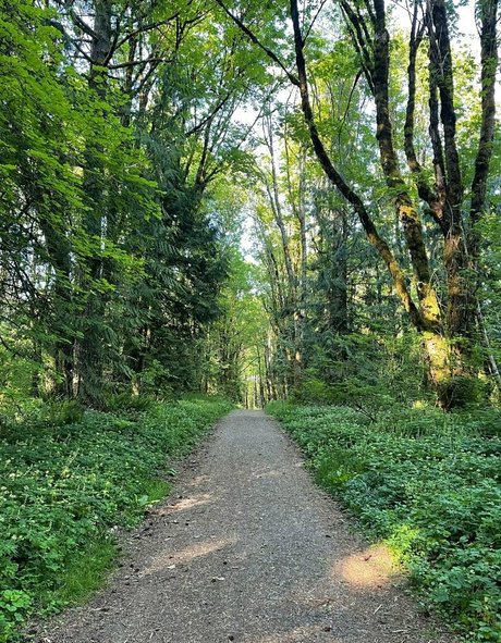 giantess onlyfans art nude galleries