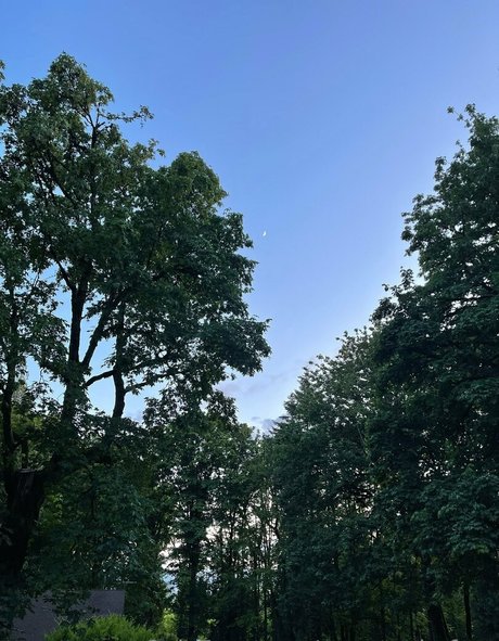 huge anal dildo onlyfans best pictures