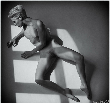 mikerhys best pornstar pic