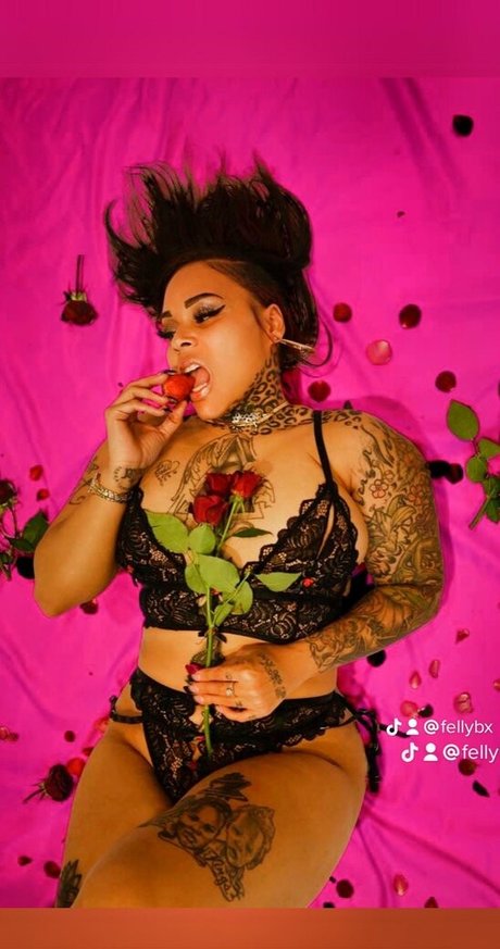 FellyBX star adult image