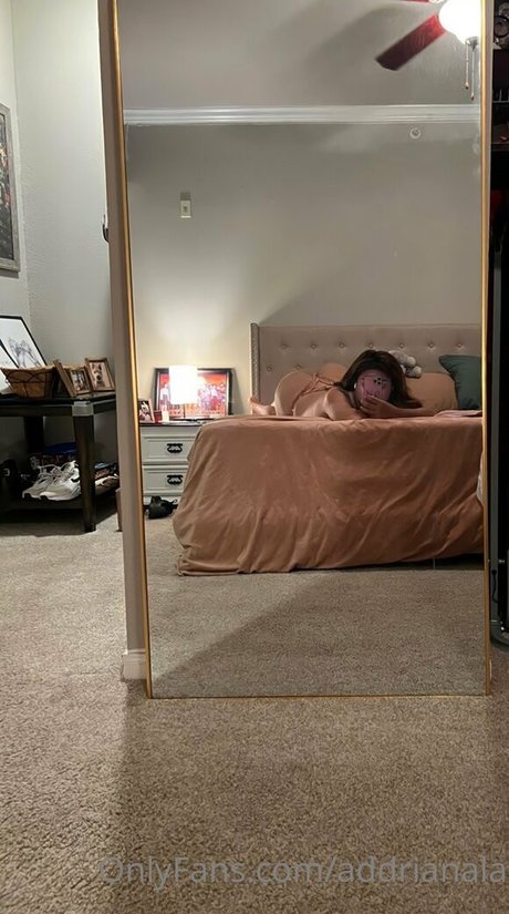 addrianala star perfect galleries