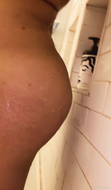 didilenox model art archive