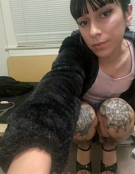 ariaaaxxx star porn images