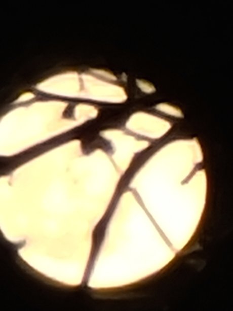 YourPalAl nice star pictures