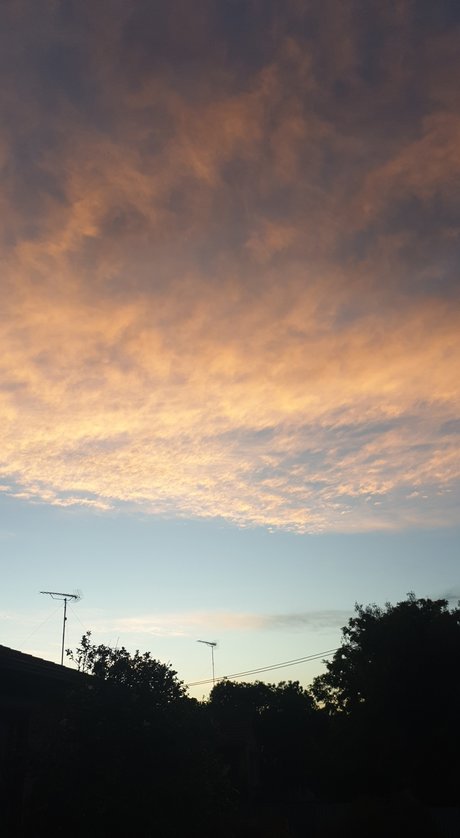 Cuddly bear pornstar art archive