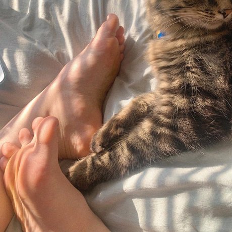 darcy taylor pornstar hot photo