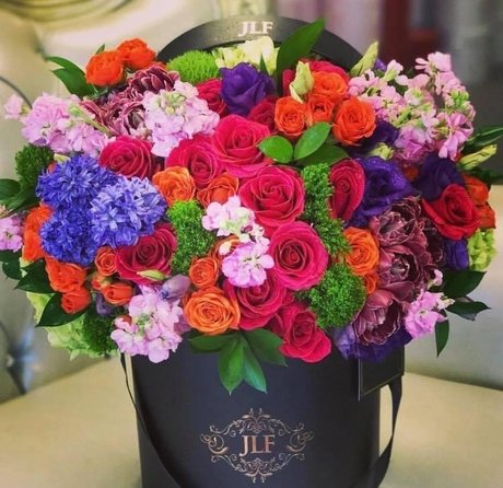 _Princes Dolltje_ nice pornstar photo