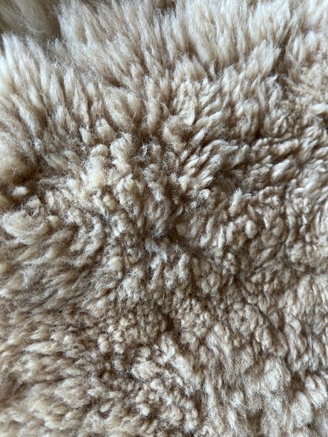 Longtoelola high quality model pic