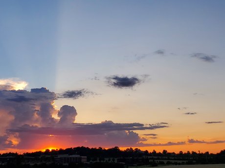 Peach Buzz model pretty pics