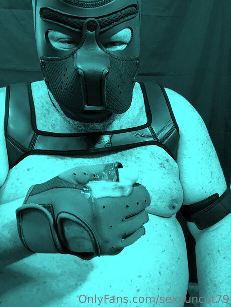 Rick Bear Pup Dancer free star pic