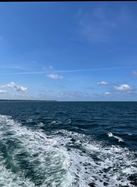 Tobias amp amp Johan top star photo