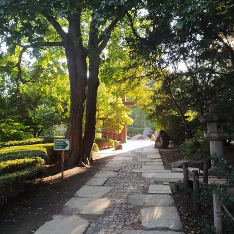 Arikui naked actress img