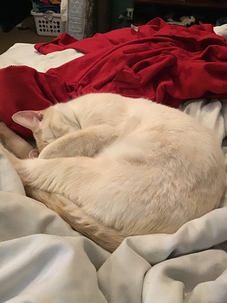 u8360874 pornstar art galleries