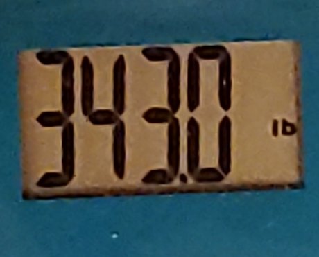 PudgyLovin_ exclusive star image