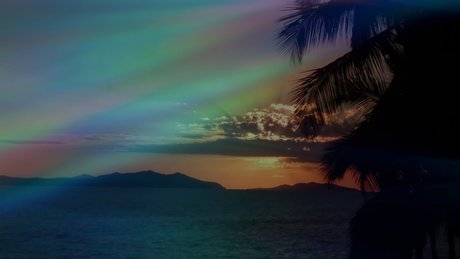 Mia Boom_ beautiful actress photo