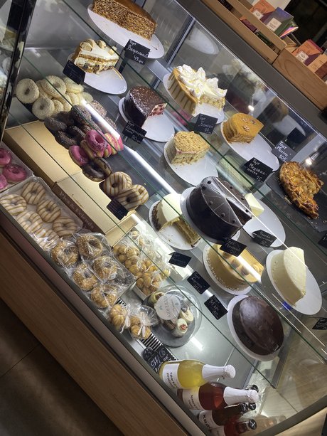 Timanosa star adult gallery