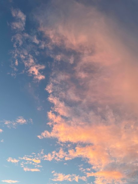 Thickness Williams erotic model photo