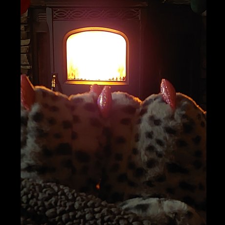 Toes R Us adult star img