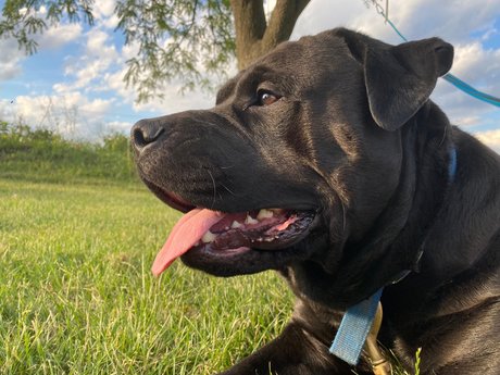 Mafia beautiful actress galleries