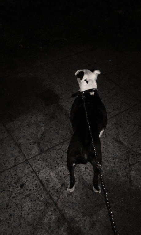 sexy anal onlyfans hot naked pics