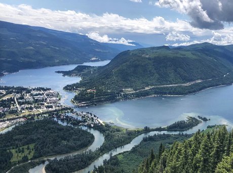 Stiffy erotic model picture