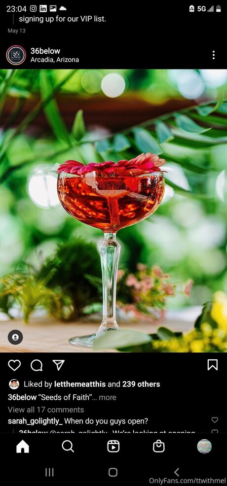 Topless talks with Mel pornographic star img