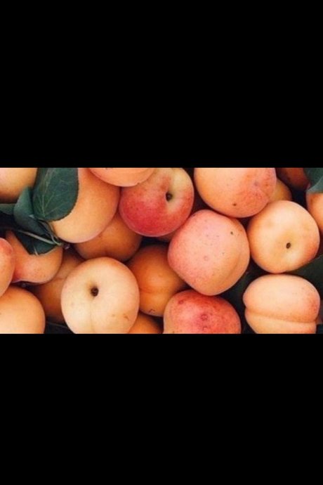 Aden star pretty image