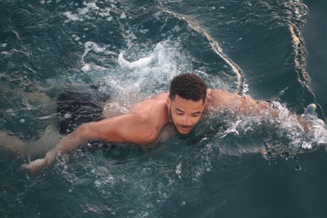 Joel Phil art star images