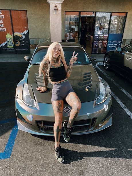 MUJO model top images