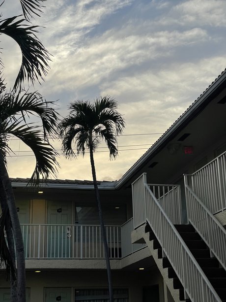 The Homoscorpion pornstar top image