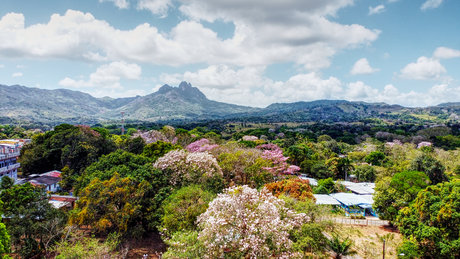 Thady star exclusive photo