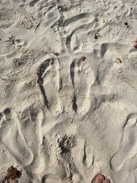 Super Feet best pornstar photo