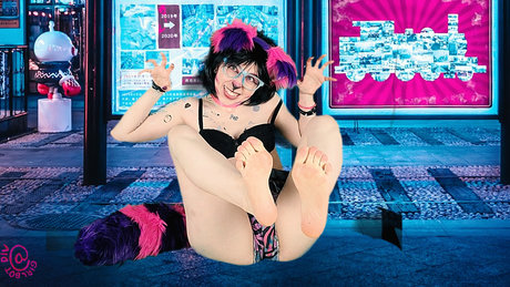 GirlbotDiv VIP_ pretty pornstar galleries