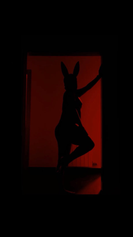 Nikki VIP pornstar nude img