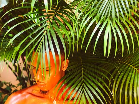 Pisan Dreams pornographic actress photo