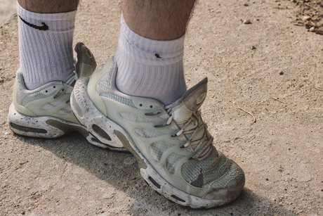 Pietro XL free star pictures