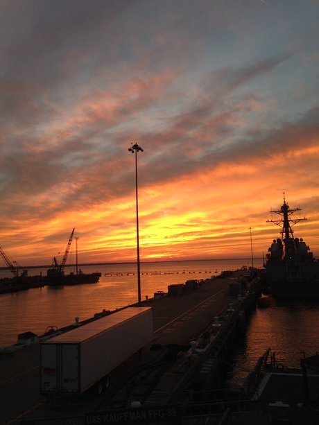 Tattooedsaylor nudes actress photos