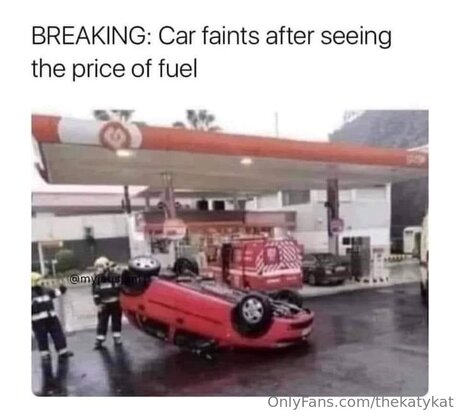 _Katy Kat_ model adult picture