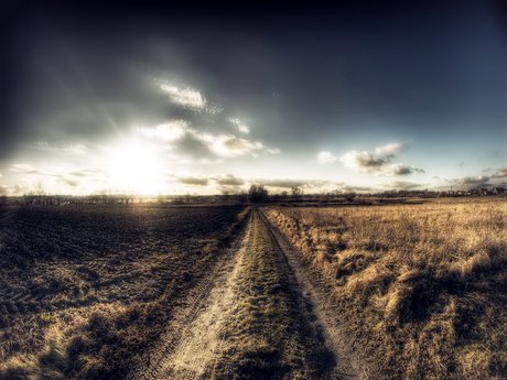 Oswaldo Gutierrez free pornstar photo