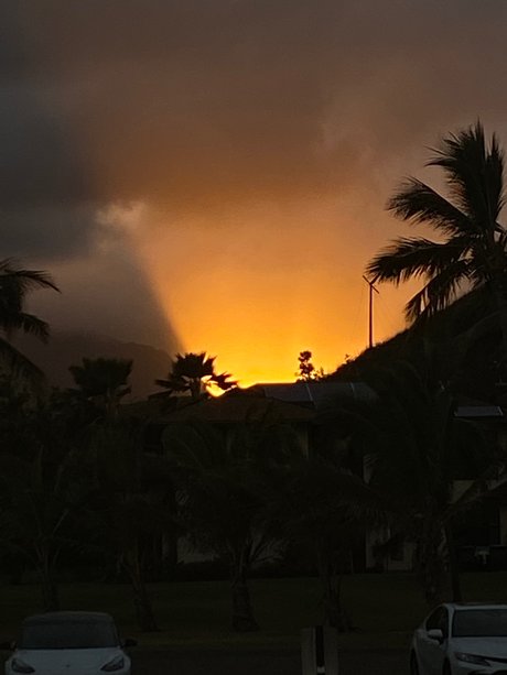 Top Vibes_ star adult galleries